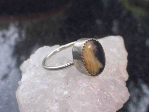 Petrified Wood Stacking Ring 925 Sterling Silver Handmade Rings for Women