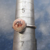 Opal Ring 925 Sterling Silver Size 6 Natural Mexican Opal Cantera Opal in Matrix