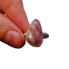Handmade Jasper Ring in Sterliing Silver, Size 7.5 Mescalero Jasper Rings for Wo
