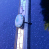Handmade Larimar Ring 925 Sterling Silver Stackable Rings for Women