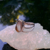 Oregon Sunstone Ring 925 Sterling Silver Schiller Handmade Crystal Rings for Wom