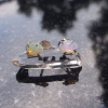 Australian Opal Sterling Silver Stud Earrings: 8mm Oval Australian Opal Sterling Silver Stud Earrings: 8mm Oval