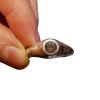 Oregon Sunstone Ring  Handmade Molten Sterling Silver Size 8