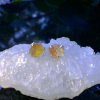 Oregon Sunstone Earrings 925 Sterling Silver with Natural Crystal Rough Stones P