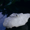Handmade Opal Ring Sterling Silver Size 6.5 Australian Crystal Opal Rings for Wo